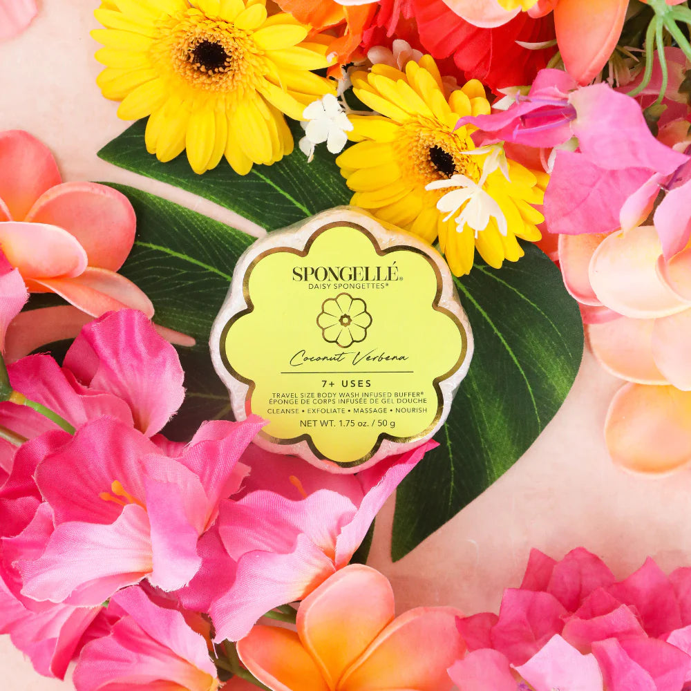 Spongelle Coconut Verbena | Daisy Spongette