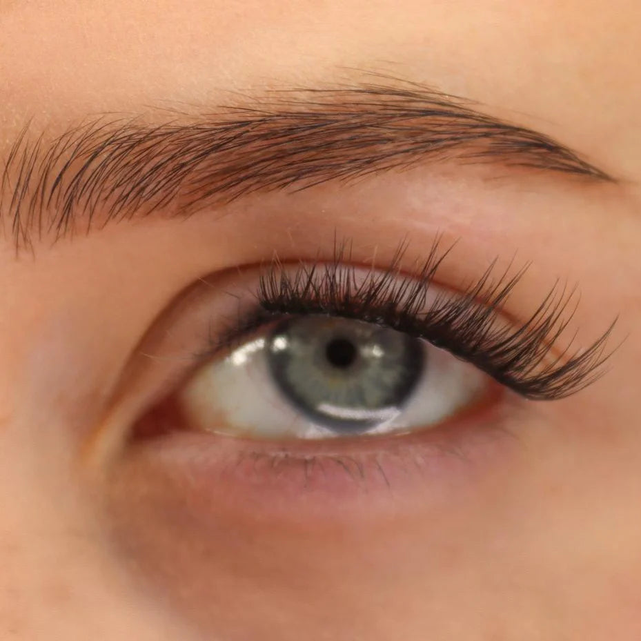 Pretty Little Lash