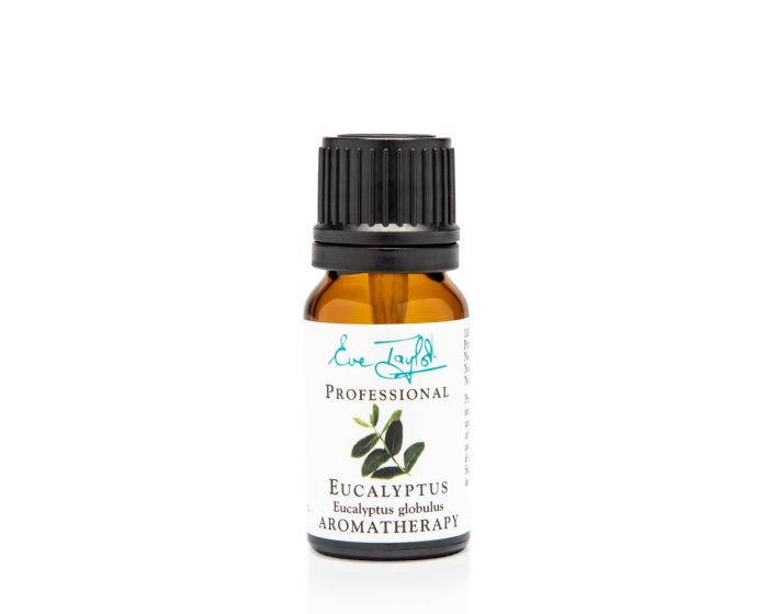 Eve Taylor Eucalyptus Globulus Essential Oil