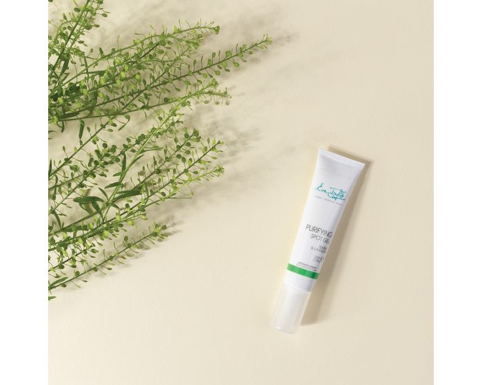 Eve Taylor Purifying Spot Gel