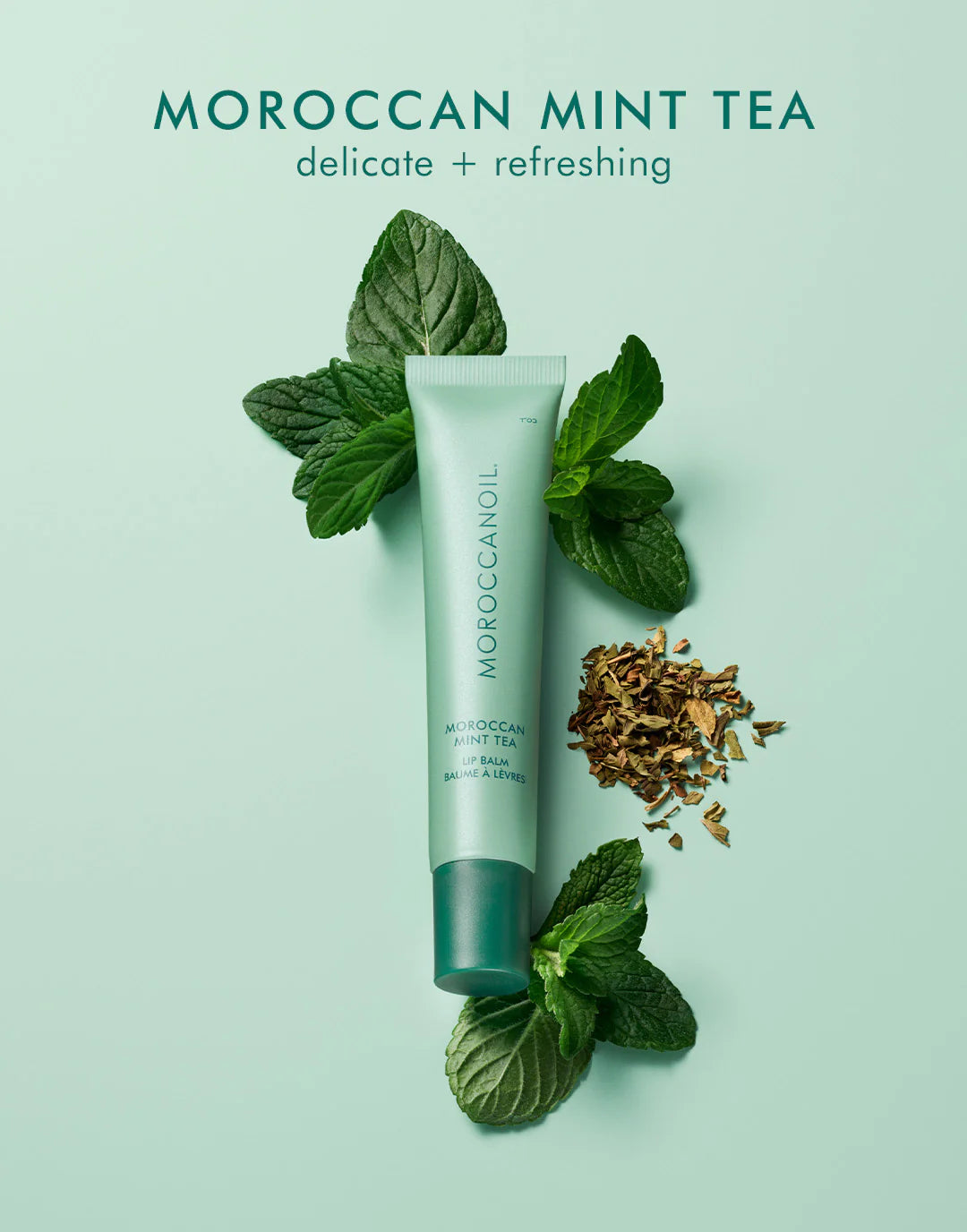 Moroccanoil Mint Tea Lip Balm