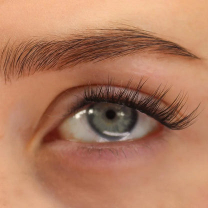 Pretty Little Lash